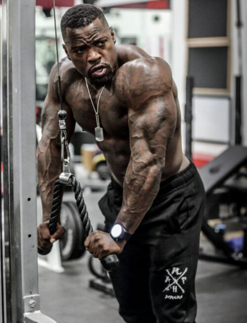 Unleash Your Inner Beast – A Deep Dive into Mike Rashid’s Alpha Shred Program PDF